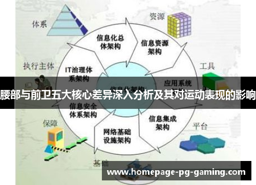 腰部与前卫五大核心差异深入分析及其对运动表现的影响