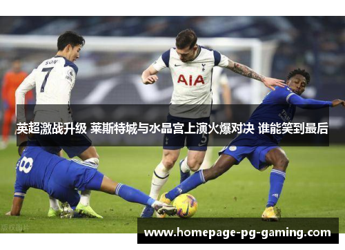 英超激战升级 莱斯特城与水晶宫上演火爆对决 谁能笑到最后 英超激战升级 莱斯特城与水晶宫上演火爆对决 谁能笑到最后