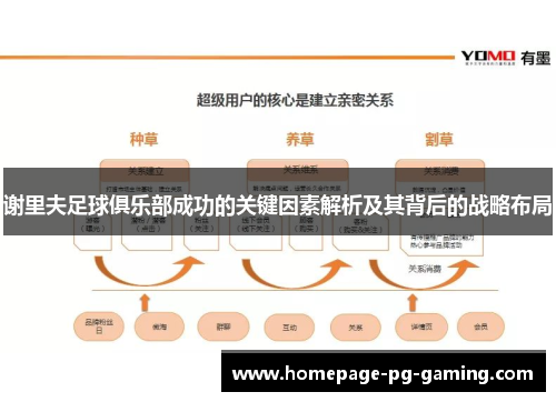 谢里夫足球俱乐部成功的关键因素解析及其背后的战略布局