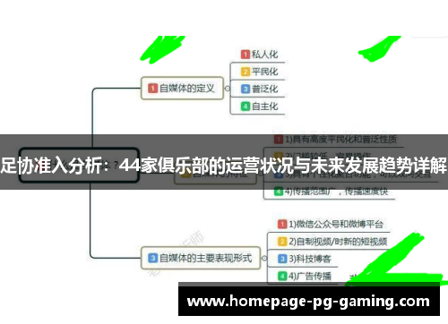 足协准入分析：44家俱乐部的运营状况与未来发展趋势详解