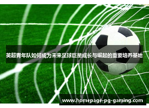 英超青年队如何成为未来足球巨星成长与崛起的重要培养基地