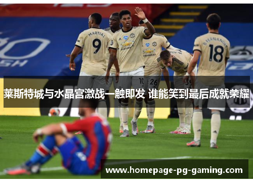 莱斯特城与水晶宫激战一触即发 谁能笑到最后成就荣耀