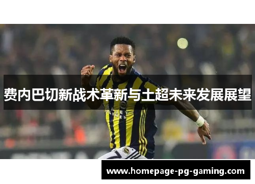 费内巴切新战术革新与土超未来发展展望