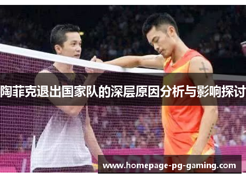 陶菲克退出国家队的深层原因分析与影响探讨