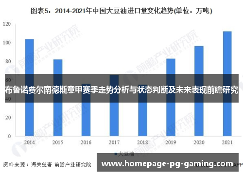 布鲁诺费尔南德斯意甲赛季走势分析与状态判断及未来表现前瞻研究